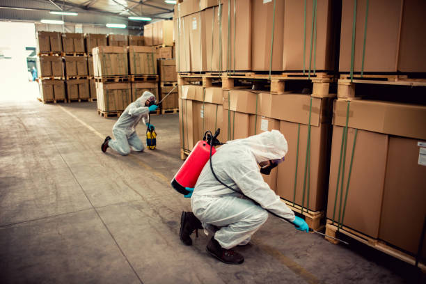 Best Affordable Pest Control Services  in Maple Bluff, WI