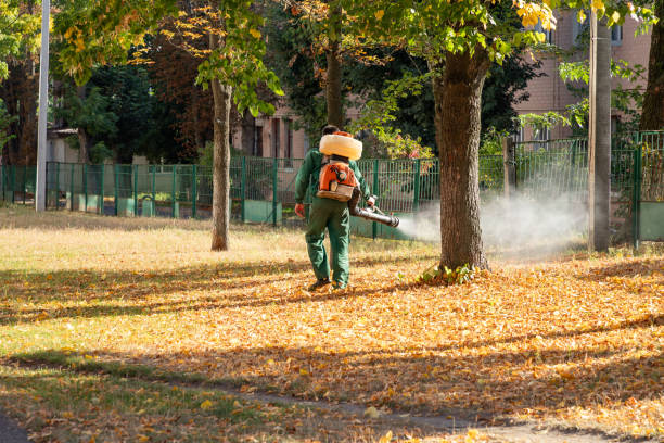 Best Pest Control Near Me  in Maple Bluff, WI