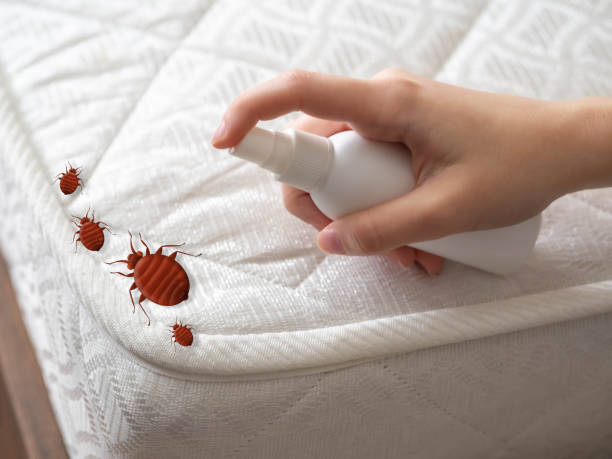 Best Exterminator Services  in Maple Bluff, WI