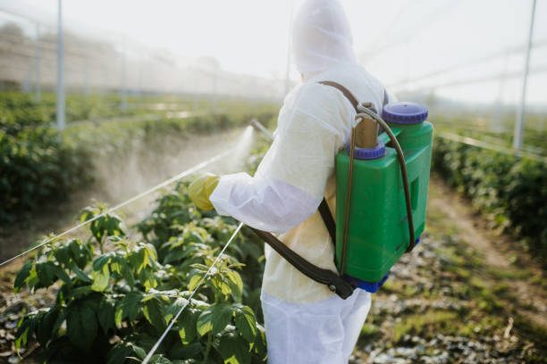 Best Emergency Pest Control  in Maple Bluff, WI